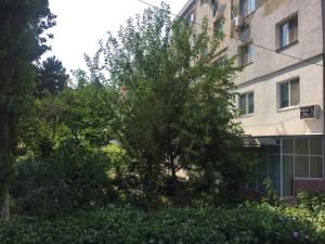 コンスタンツァにあるApartament Larisaの建物前の木