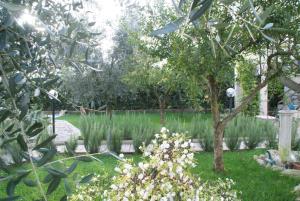 A garden outside Bed&Breakfast degli ulivi