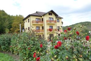 a house in the middle of a field of flowers at Pensiunea Lavinia in Calvini