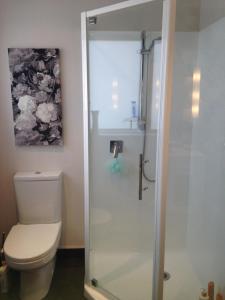 a bathroom with a toilet and a glass shower at Beach Side B & B in Auckland