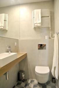 クラクフにあるFlorianska Apartmentのバスルーム(白いトイレ、シンク付)