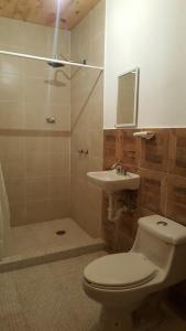 La salle de bains est pourvue de toilettes, d'un lavabo et d'une douche. dans l'établissement Hotel Jardin Rincon de las Estrellas, à Velasco
