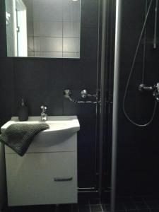 ロヴァニエミにあるApartment Rovaniemiのバスルーム(シンク、シャワー付)