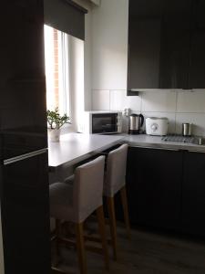 Kuchyň nebo kuchyňský kout v ubytování Apartment Rovaniemi