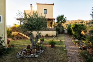 A garden outside Villas Paleochora