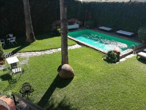 an overhead view of a swimming pool in a yard at La Tierra Roja in Aliseda