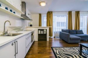 a kitchen with a sink and a couch in a room at Luxury Downtown Apartments in Budapest