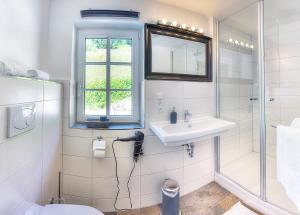 a bathroom with a sink and a toilet and a window at Chalet am Sonnenhang in Obertraun +152 photos