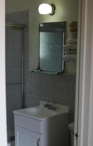 a bathroom with a sink and a window and a shower at The Inn in El Dorado