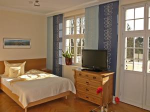 ein Schlafzimmer mit einem Bett und einem TV auf einer Kommode in der Unterkunft Villa Andante Apartmenthotel in Kassel