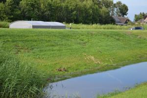 a pond in a field with a building in the background at Bed & Breakfast Giethoorn in Giethoorn