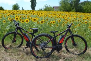 Jízda na kole v ubytování Cascina Trapella nebo okolí