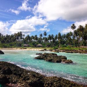 a beach with rocks in the water and palm trees at Kita Surf Resort in Lasikin