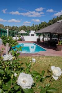 a view of the pool at a resort with white roses at Olive Grove Guest Farm in Beaufort West