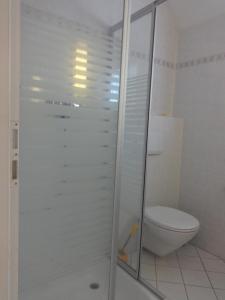 a bathroom with a toilet and a glass shower at Apartement Schönbach in Holzhausen