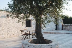 Φωτογραφία από το άλμπουμ του Trulli a Sud-Est στο Αλμπερομπέλο