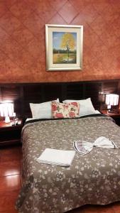 アスンシオンにあるResidencia Leones de Castillaのベッドルーム1室(壁に絵が描かれたベッド1台付)