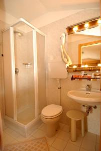a bathroom with a shower and a toilet and a sink at Hotel La Baita in Livigno
