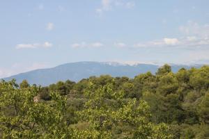 a view of a forest with mountains in the background at Mas de la Gonnette in Venasque +3 photos