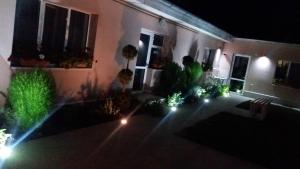 Gallery image of Pensiunea Gheorghita in Haţeg