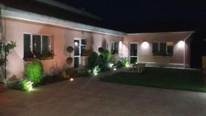 una casa por la noche con luces en el patio en Pensiunea Gheorghita, en Haţeg