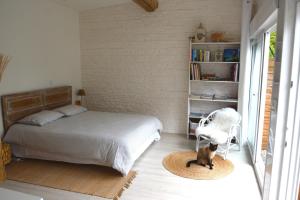 een slaapkamer met een bed en een kat op een tapijt bij La Mazzerinière in Saint-Sylvestre