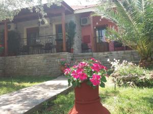 Zahrada ubytování Studios Elianthos