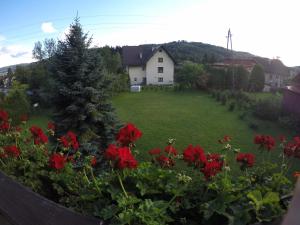 ヴィスワにあるAgusiaの赤い花の庭園