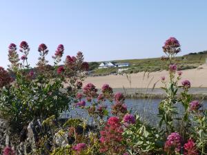 Foto dalla galleria di Tee-Side Guest House a Bude