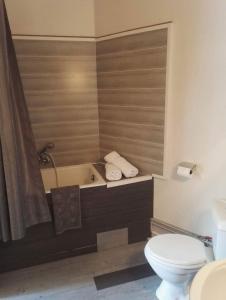 a bathroom with a toilet and a bath tub with a sink at Hotel Du Square in Riom