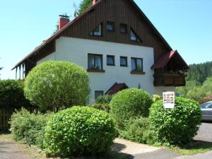 a large house with bushes in front of it at Pension Roklan in Železná Ruda