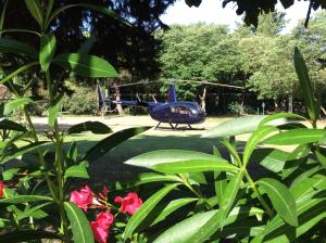 un petit avion bleu garé dans une cour fleurie dans l'établissement L'Hacienda, à Marguerittes