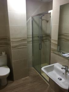 a bathroom with a shower and a toilet and a sink at Hotel La Parra in Cuevas del Almanzora