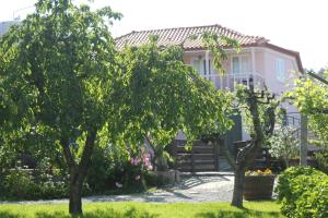 A garden outside Casa Castedo do Douro