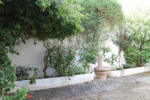 a wall with a bunch of plants and a fountain at La casita de la ciudad in Ronda