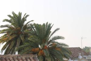 Fotografie z fotogalerie ubytování La casita de la ciudad v destinaci Ronda