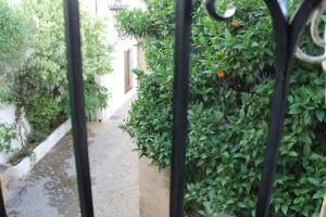 Zahrada ubytování La casita de la ciudad