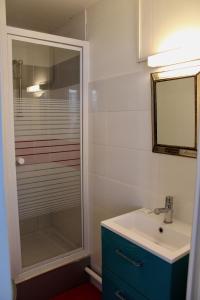 La salle de bains est pourvue d'un lavabo et d'une douche en verre. dans l'établissement LES OISEAUX (L'HIRONDELLE), à Rouen