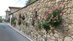 a stone wall with pink flowers on it at Casa di Giulia (Bambini gratis fino a 6 anni) in Santa Luce