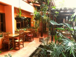 Posada Papa Chepe餐厅或其他用餐的地方