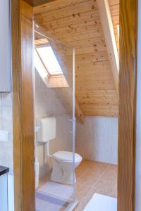 a bathroom with a toilet under a wooden ceiling at Hajnalka Apartment in Badacsonytomaj +87 photos