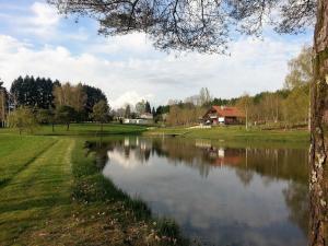 Lieux-au-lac في Augignac: بركة في حديقة مع منزل في الخلفية