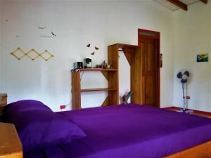 
a bedroom with a bed and a desk at Cabinas Caribe Luna in Cahuita
