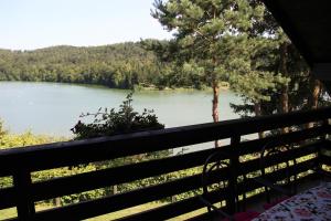 a view of a lake from a balcony at Lake House Apartment in Medvode