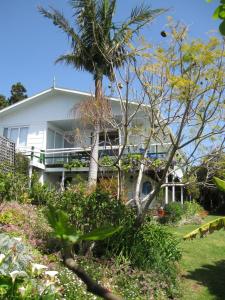 a white house with a palm tree in front of it at Aimeo Cottage in Russell