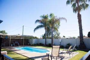a backyard with a swimming pool with chairs and palm trees at Echuca Moama Holiday Villas in Moama