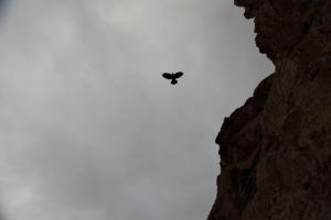 a bird flying over a mountain cliff at Guest house Ozernaya in Cholpon-Ata