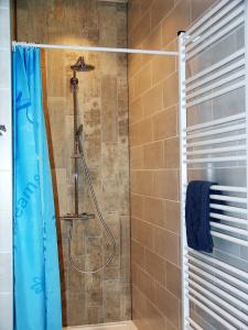 um chuveiro com uma cortina de chuveiro azul na casa de banho em Le Buala Maison d'Hôtes em Antist