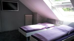 two beds in a room with a window and a tv at Pension Hainbuch in Siedlung Hainbuch +25 photos