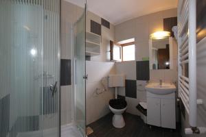 ルンカにあるCasa de Vacanta Marjacuのバスルーム(トイレ、洗面台、シャワー付)